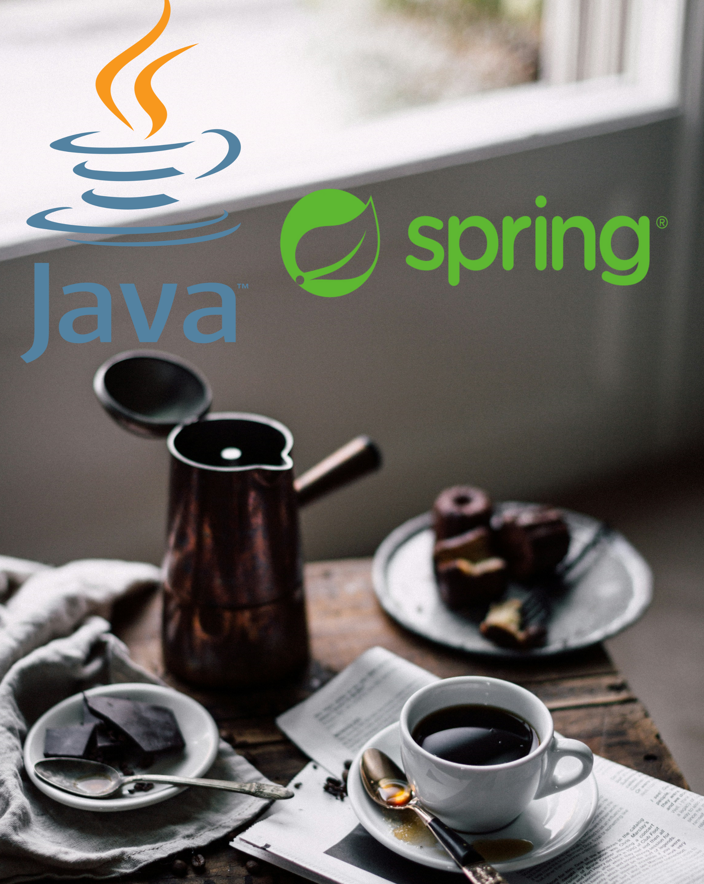 Java Spring icon